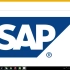 什么是SAP ERP?
