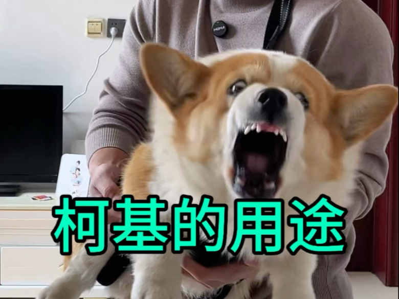 男人怎么可以有种成这个样子