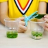 魔力科学小实验，简单一招提取叶绿素，孩子一看就懂