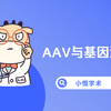 AAV与基因治疗