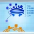【国家精品课程】四川大学 细胞生物学 （教材：翟中和《细胞生物学》）