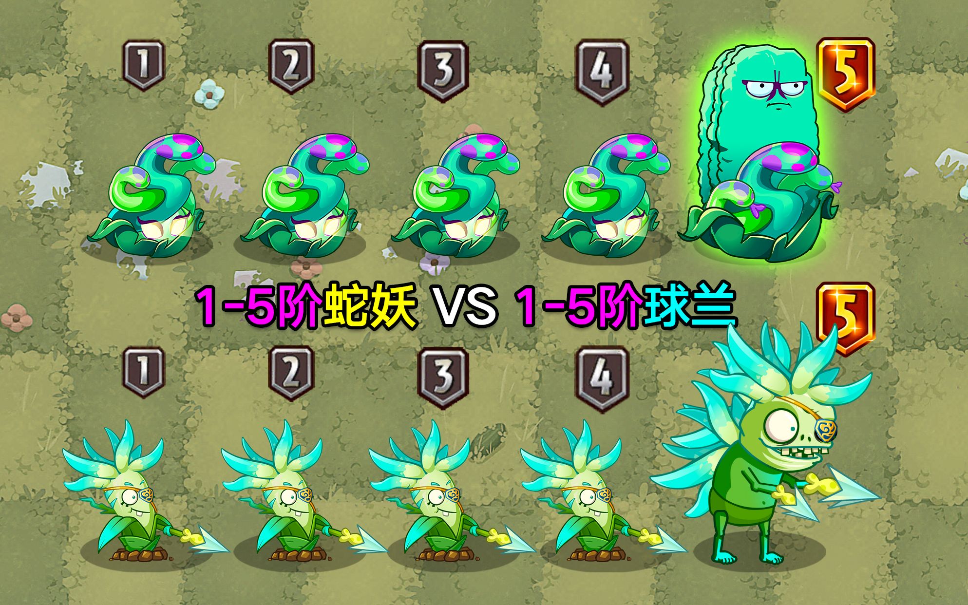 1-5阶蛇妖VS1-5阶球兰！2个兼顾手动攻击和自动攻击的氪金植物，究竟谁更强？