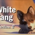 【影视剪辑】WhiteFang 白牙2018 - 第二部分 | 剪辑