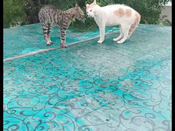 看对眼就匹配成功