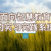 计算机毕业设计课程设计   SpringBoot8699面向智慧教育的实习实践系统在线教育平台论文JAVA语言JAVA WEB vue技术