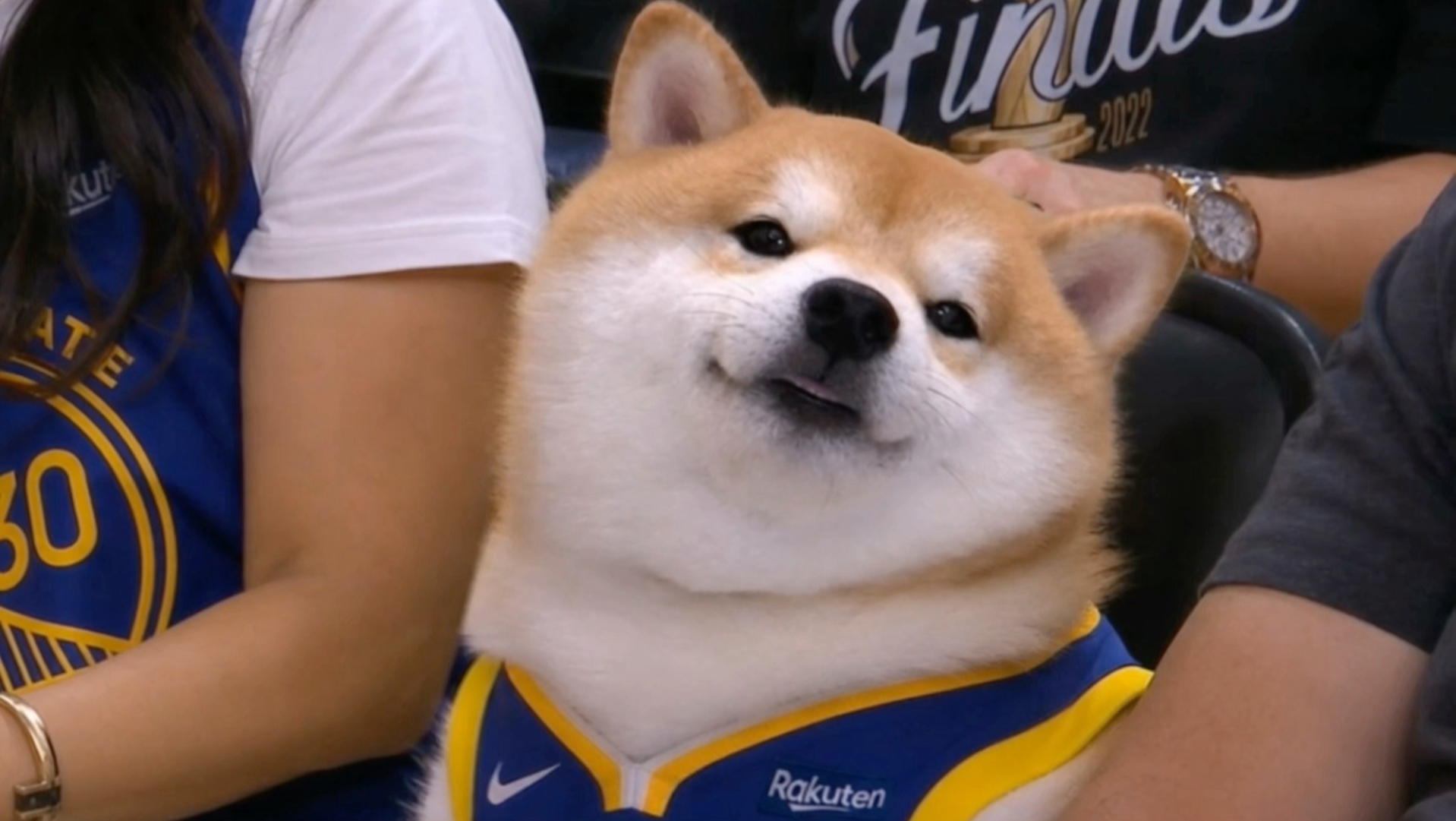 NBA观众席小帅哥