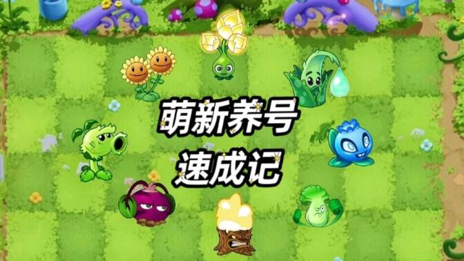 【萌新必看】开号如何快速培养重要植物！