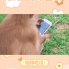 山东女生甜美似蜜糖，武力值全国排行揭晓