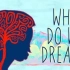 【Ted-ED】我们为什么会做梦 Why Do We Dream