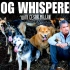 狗语者第一季(23集) Dog Whisperer Season 1