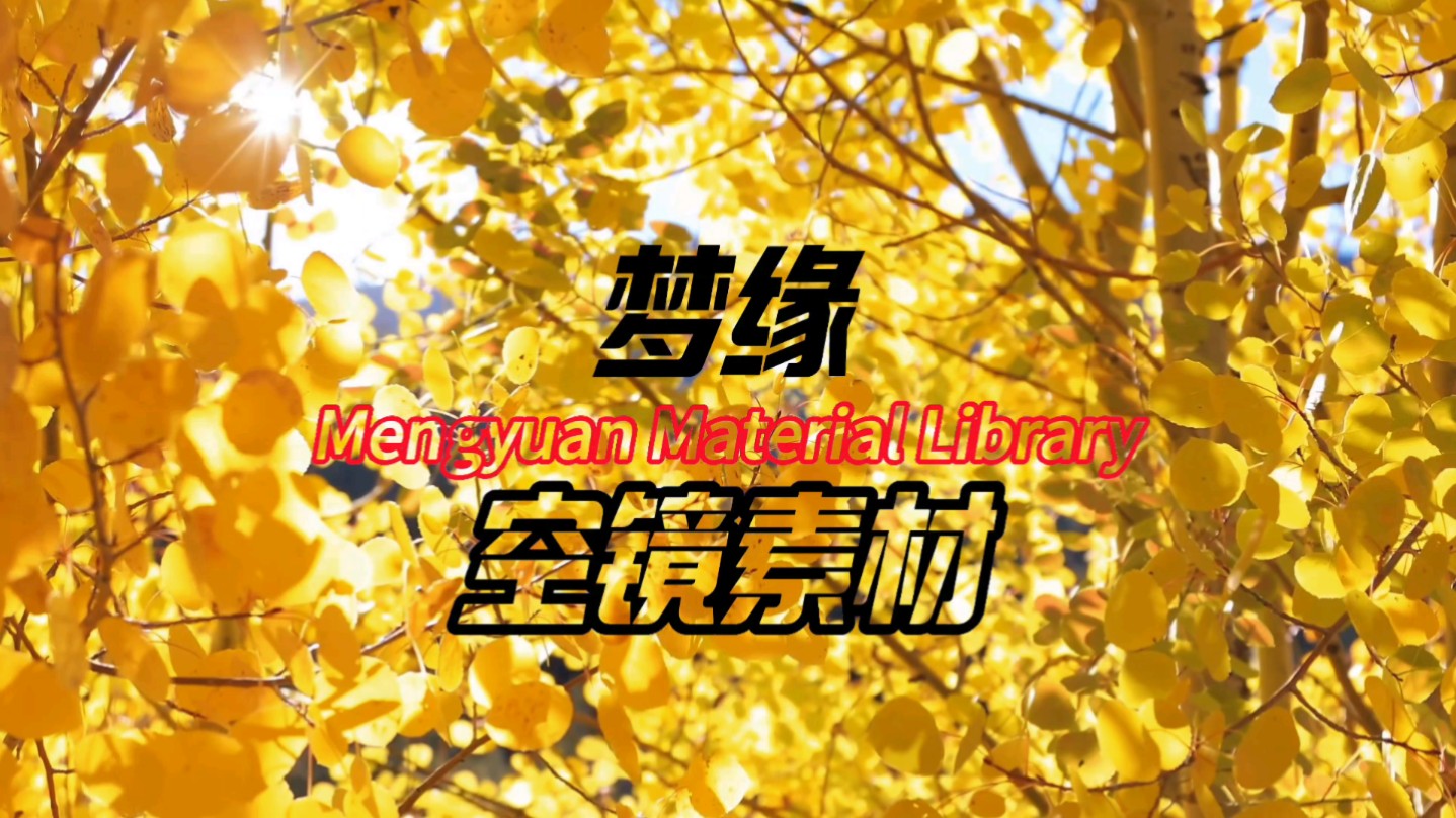 无版权，无水印素材链接：https://drive.uc.cn/s/81f86acb5ca44?public=1