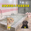 “当爸爸带着儿子去澡堂洗澡