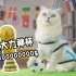 猫猫勇闯世界杯，最后却偷走了大力神杯？！