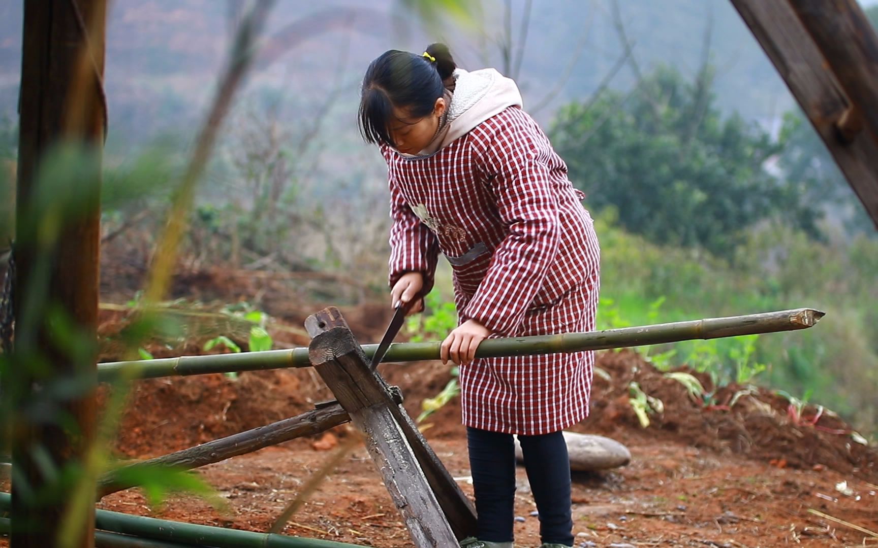 农村女子在深山里开荒挖地建别墅,打造自己的世外桃源图片