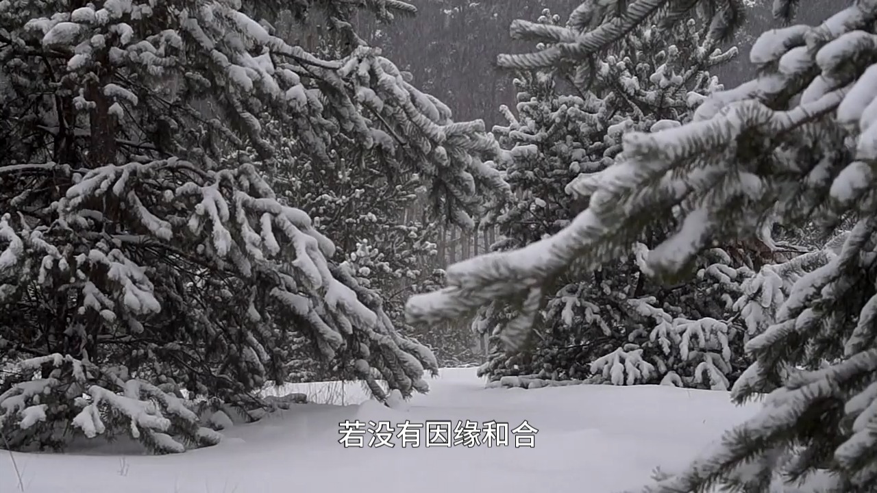 如何才能做到心中无相？关键是要拥有这个能力！心不着相，自行圆满。