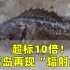 超标10倍！福岛再现“辐射鱼”，网友怀疑：日本政府有“猫腻”