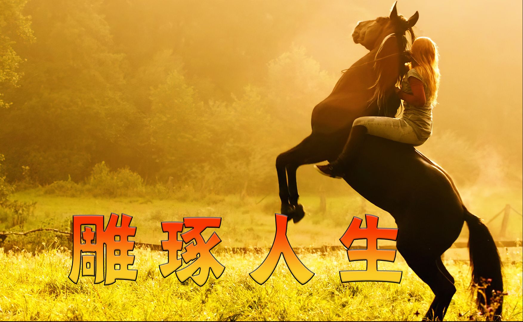 字幕下载