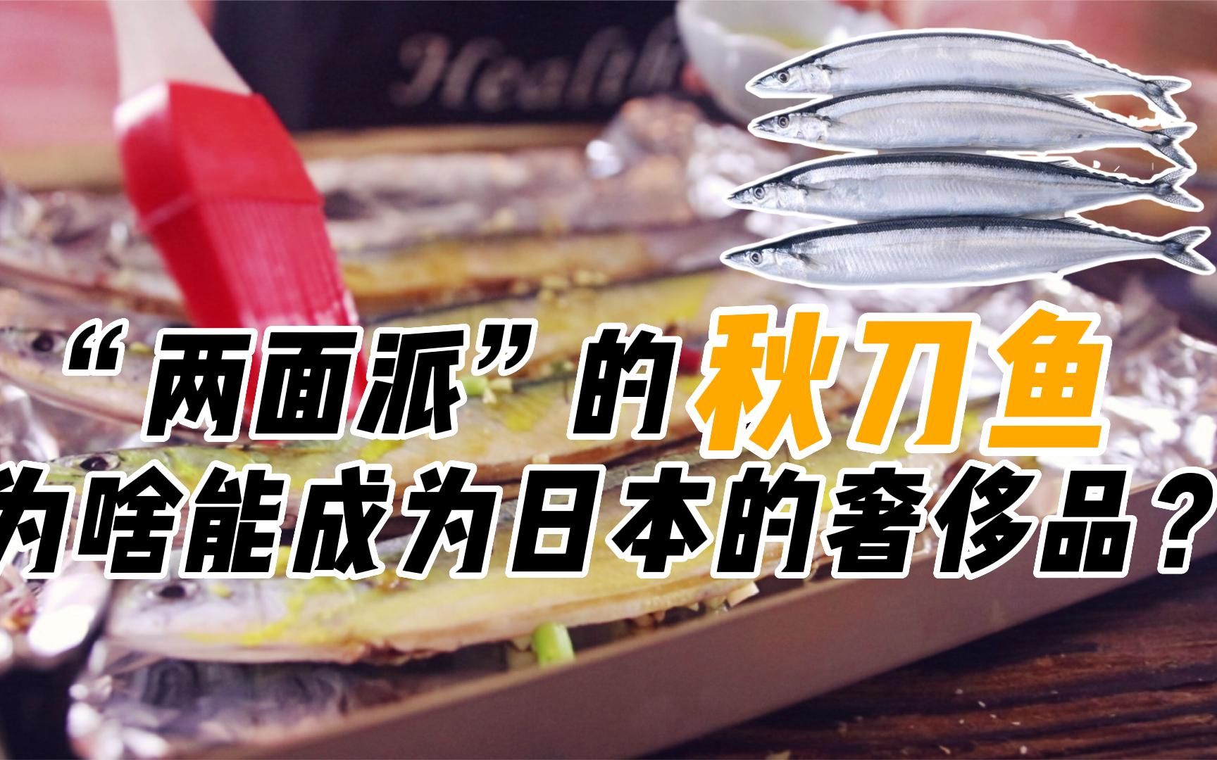 日本300一条的秋刀鱼，在中国却没市场，只是因为它不好吃？