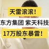 天雷滚滚！东方集团、紫天科技，17万股东暴雷