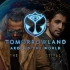 Dimitri Vegas & Like Mike — Anthem 2020 （Tomorrowland 2020 I