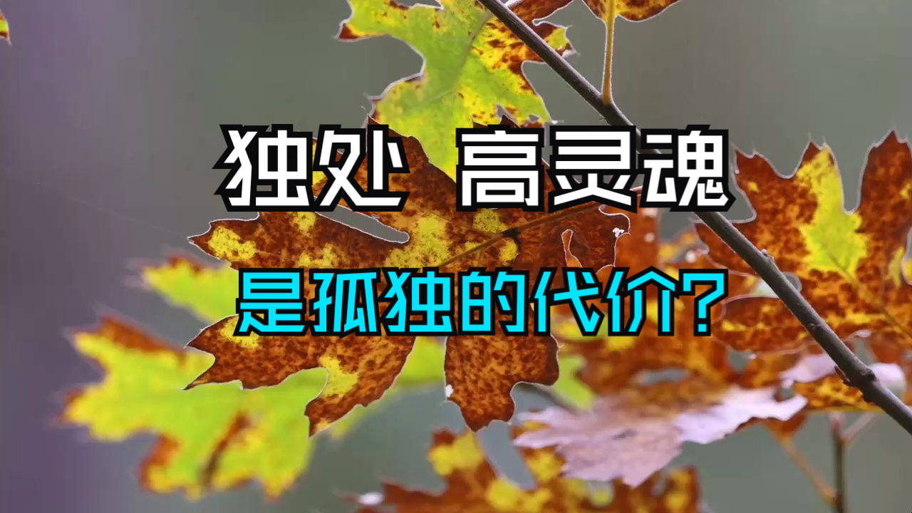 高灵性之人，为何你的朋友会越来越少？