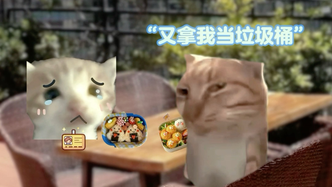 香蕉猫的快乐生活