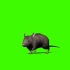 奔跑的老鼠素材分享，保存就可以使用#绿幕素材