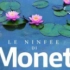 莫奈：睡莲的水光魔法 Water Lilies of Monet - The magic of water and li