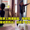 男孩在家上网课做操，狗狗在一旁兴奋窜动惹热议：这孩子定力好
