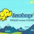大数据Hadoop（2021全新升级/部署+源码+实战）Java大数据开发，Hadoop框架深入精讲