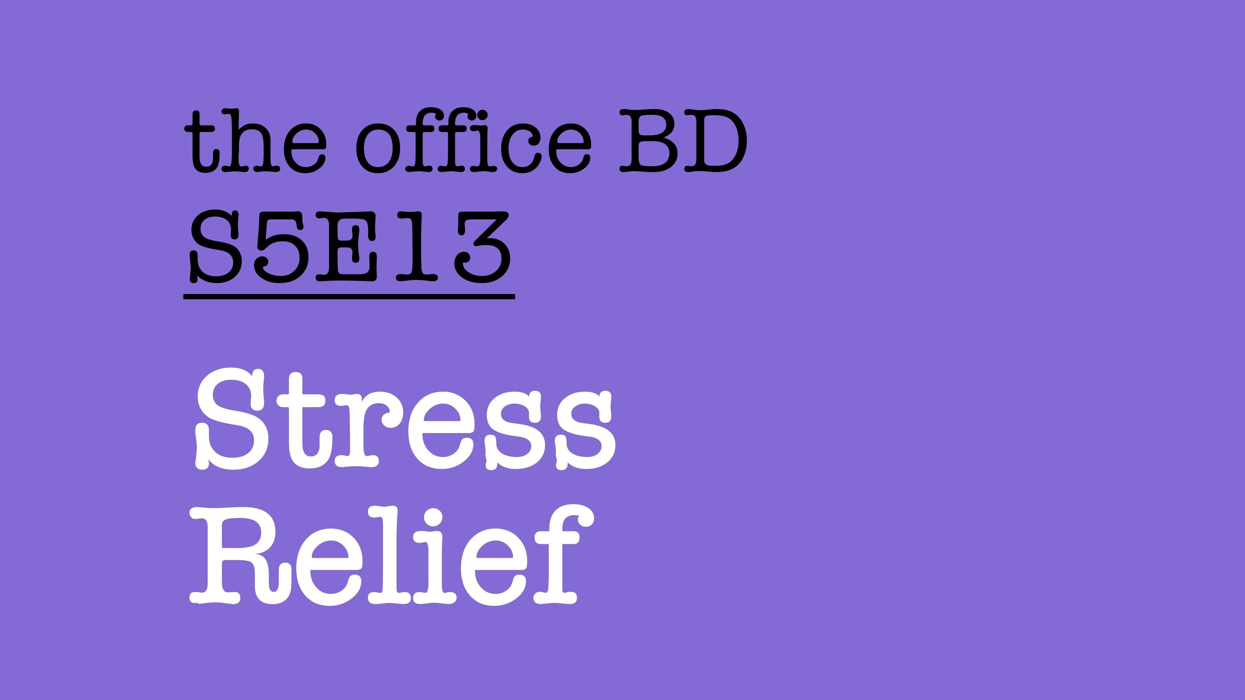 【办公室 BD S5E13】解压