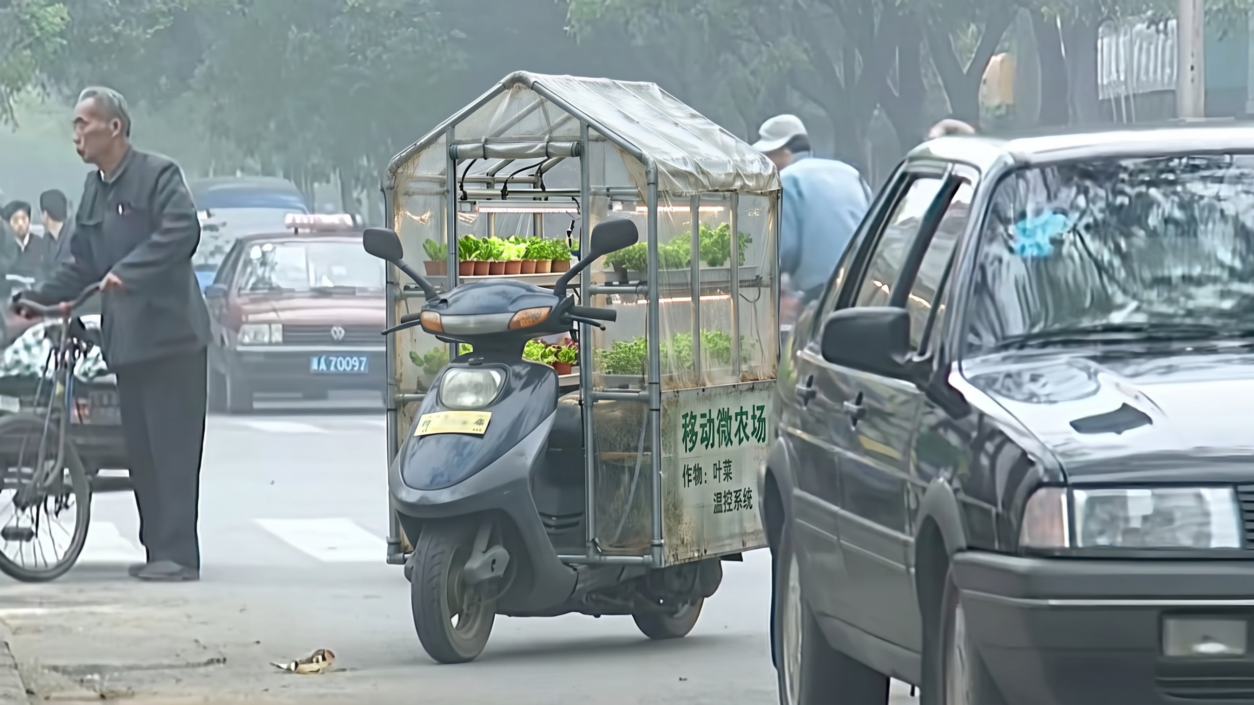 有 一 个 大 棚 来 买 瓜