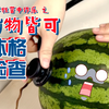 检体诊断学 之 瓜瓜全身体格检查