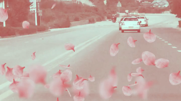 封龙山科目三考场