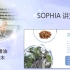 【芳灸儿】导师 SOPHIA讲芳疗30：养肺精油花梨木