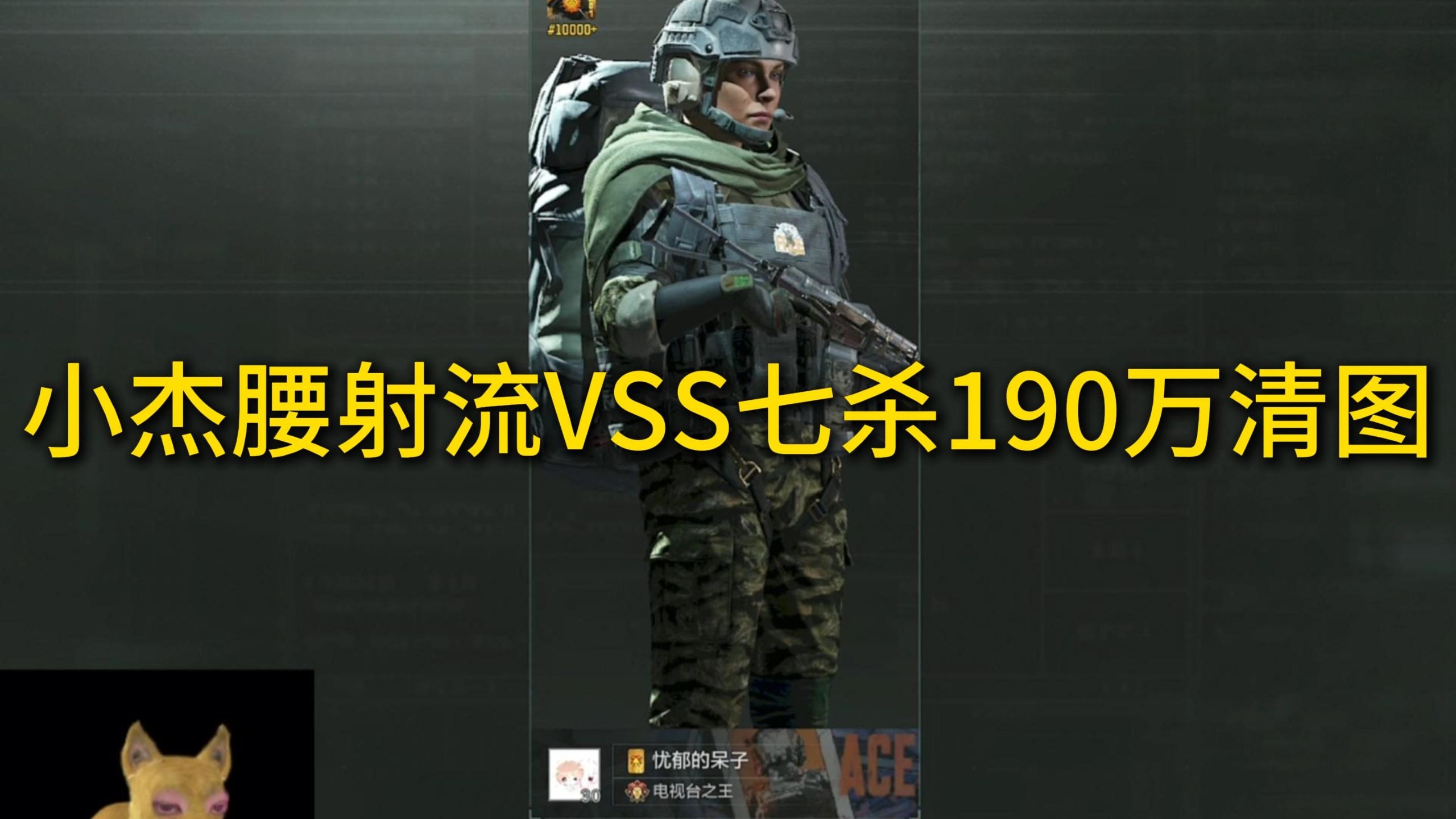 小杰腰射流VSS七杀190万清图