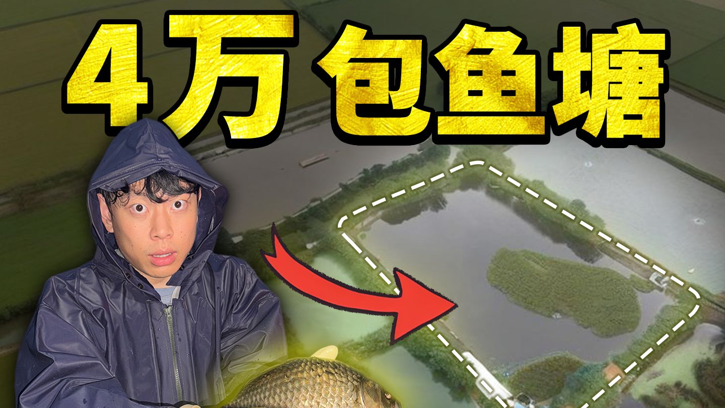 花40000元包下整个鱼塘！我亏了还是赚了？