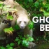 【Animal Logic】白灵熊-雨林的幽灵(Spirit Bear - The Ghost of the Rainf