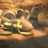 动画科普“小海龟出生记”