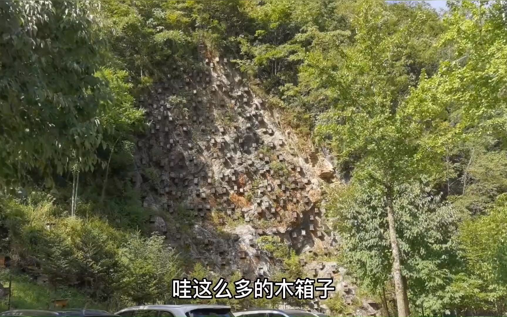 神农架林区官门山，5A级旅游景区，票价95，带大家参观
