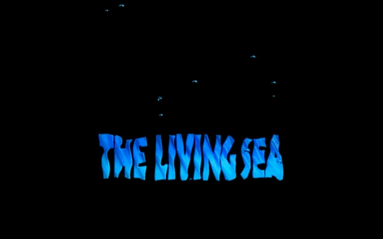 【IMAX纪录片】活力海洋 1995 (英语中字)下载