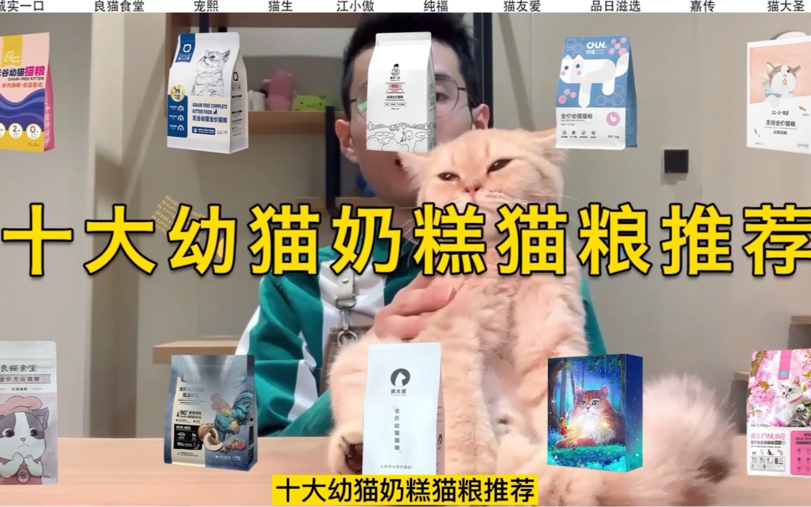 十大幼猫奶糕猫粮推荐