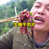 越南小哥的生腌牛肉片，铁肛才能扛得住