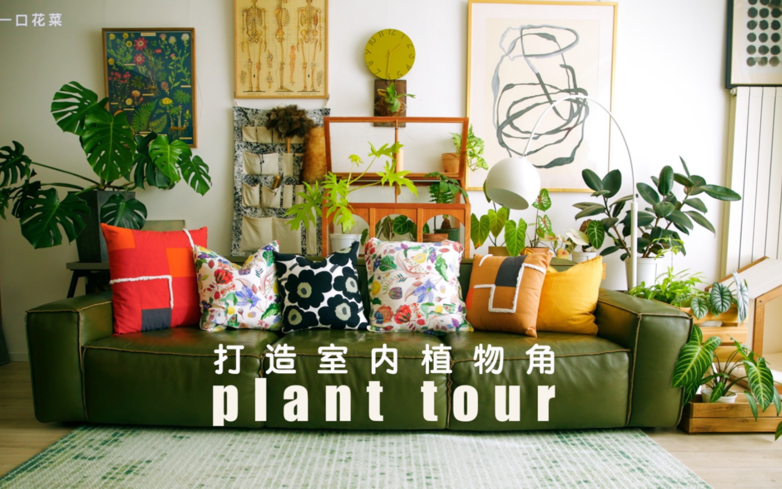 沉浸式打造室内植物角｜plant tour｜家居绿植布置