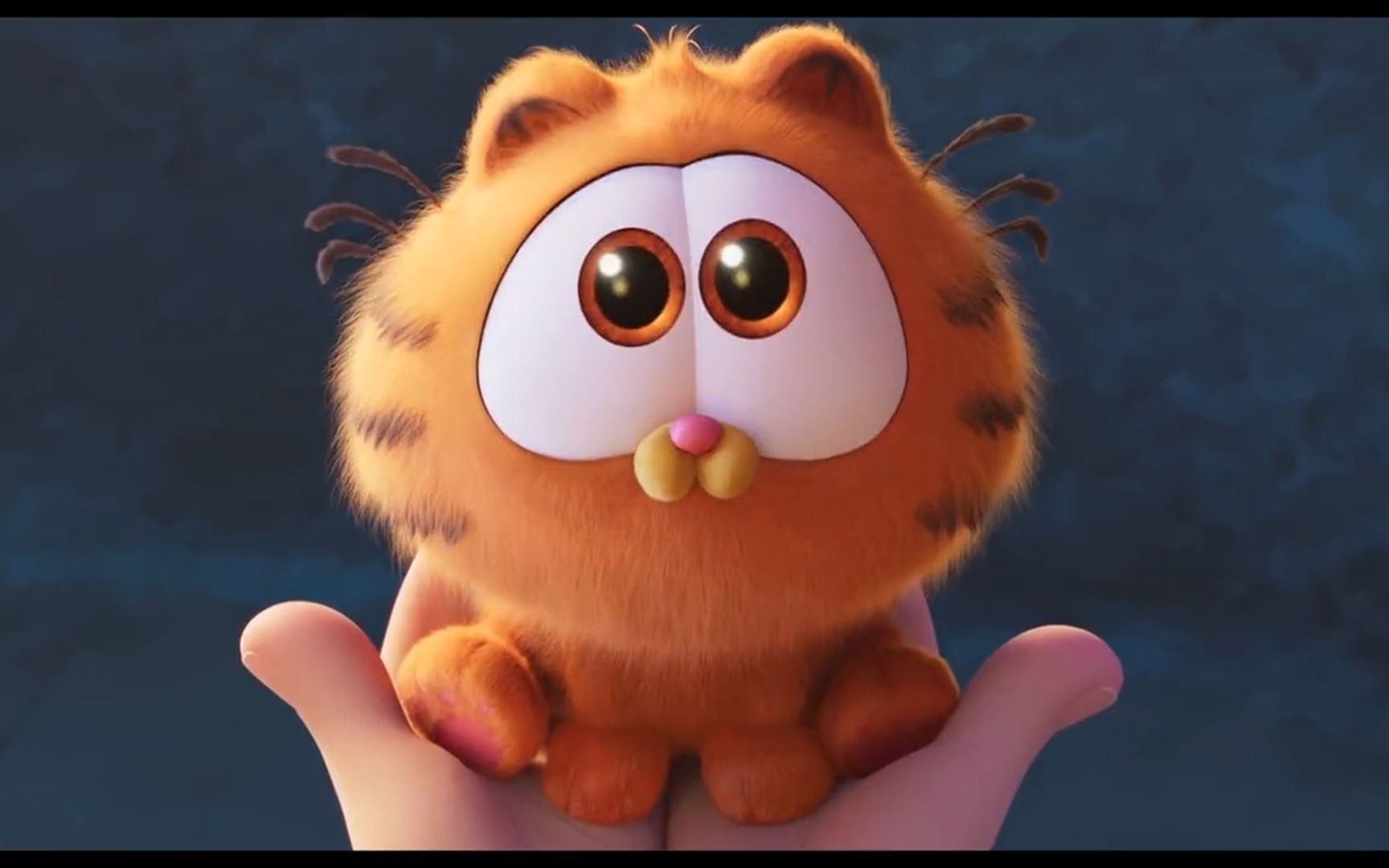 可爱捏！索尼公开了新版《加菲猫》动画电影的首支预告！