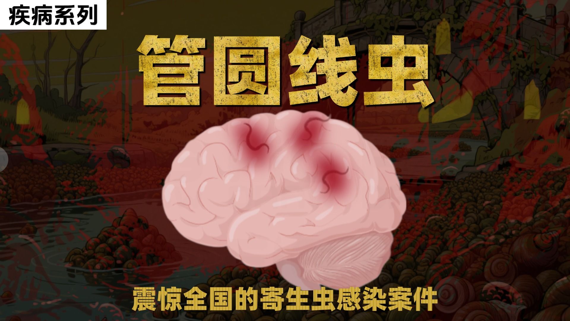 震惊全国的寄生虫惨案 管圆线虫