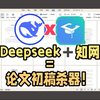 DeepSeek论文写作实战！deepseek+知网，1晚1000篇论文初稿，超爽学术速写