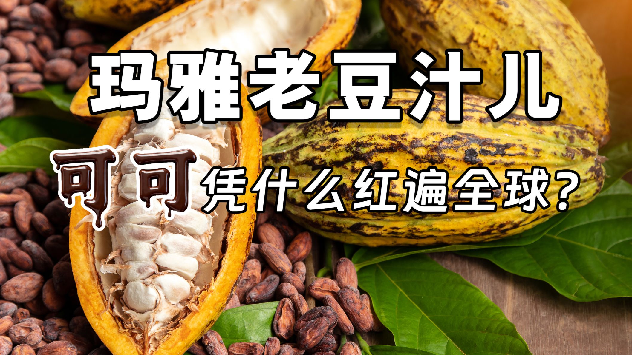玛雅老豆汁儿！可可凭什么红遍全球？
