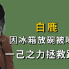 “搞笑女明星”白鹿：让王鹤棣用腿当椅子，见王一博激动到结巴