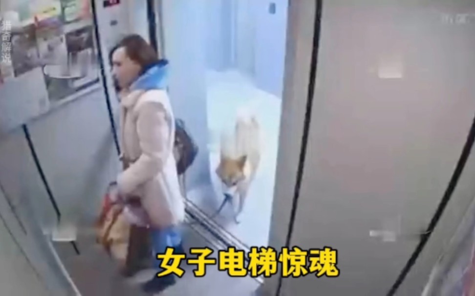 女子牵狗进电梯发生意外，人被吊在了门门框上，狗也遭到了不幸
